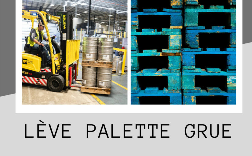 Découvrez les différents types de lève palette grue