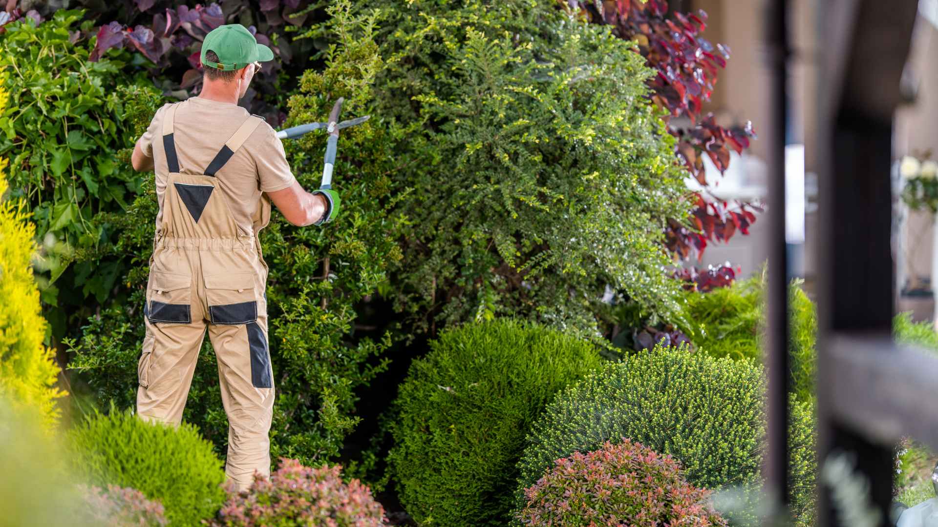 travaux de jardinage