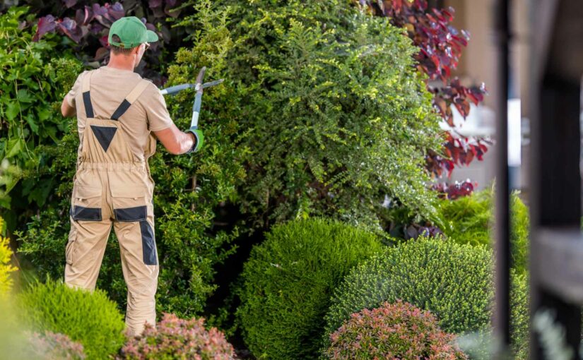 travaux de jardinage