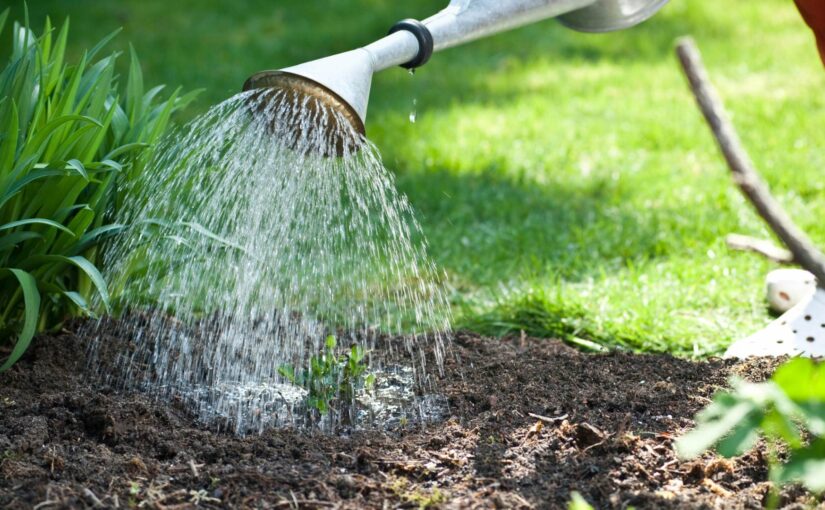 Les astuces pour un arrosage efficace de votre jardin