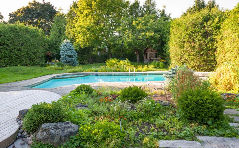 Mon avis sur les différents types de piscines pour votre jardin