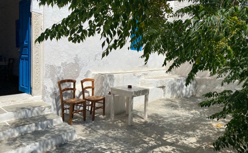 J’ai transformé ma terrasse grâce au feuillage artificiel de Sport & Jardin